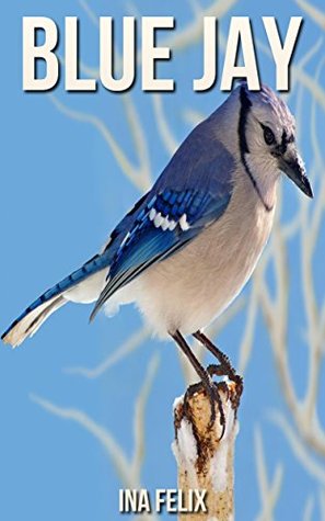 Read Blue Jay: Children Book of Fun Facts & Amazing Photos on Animals in Nature - A Wonderful Blue Jay Book for Kids aged 3-7 - Ina Felix | PDF