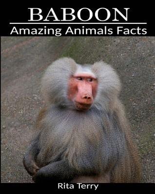 Read Baboon: Amazing Photos & Fun Facts Book About Baboon - Rita Terry | PDF