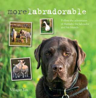 Download Morelabradorable: Follow the adventures of Barnaby the labrador and his friends - Villager Jim | ePub