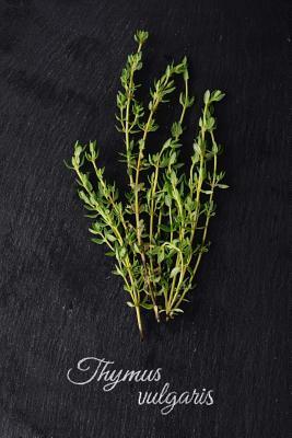 Read online Fresh Green Thyme (Thymus Vulgaris) Herb and Spice Journal: 150 Page Lined Notebook/Diary - NOT A BOOK | ePub