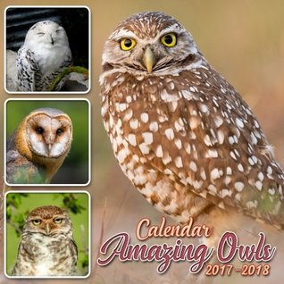 Download Amazing Owls Calendar: 16 Month Calendar with Marvelous Owls (Sept 2017 - Dec 2018) - NOT A BOOK file in ePub