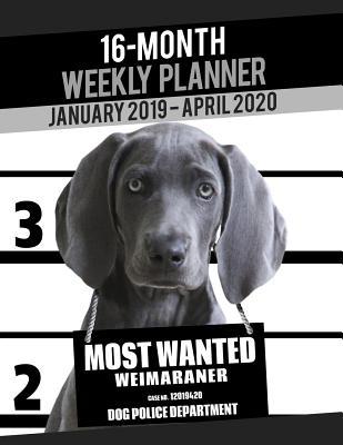 Read 2019-2020 Weekly Planner - Most Wanted Weimaraner: Daily Diary Monthly Yearly Calendar Large 8.5 X 11 Schedule Journal Organizer Notebook Appointment - Ironpower Publishing | PDF