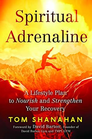 Read online Spiritual Adrenaline: A Lifestyle Plan to Nourish and Strengthen Your Recovery - Tom Shanahan file in ePub