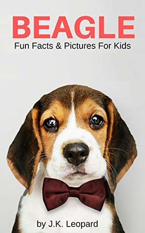 Read online Beagle: Fun Facts & Pictures For Kids (Fun Facts For Kids Book 2) - J.K. Leopard file in PDF
